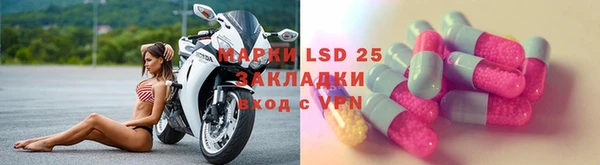 ECSTASY Богданович