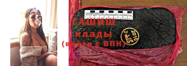 гидра Тайга
