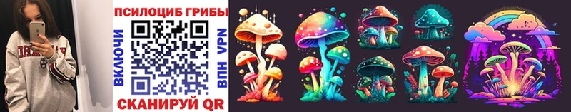 цена наркотик  Кирово-Чепецк  Галлюциногенные грибы Psilocybine cubensis 